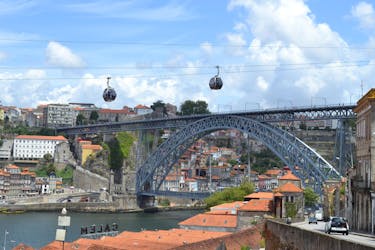 Visite privée d’une demi-journée à Porto